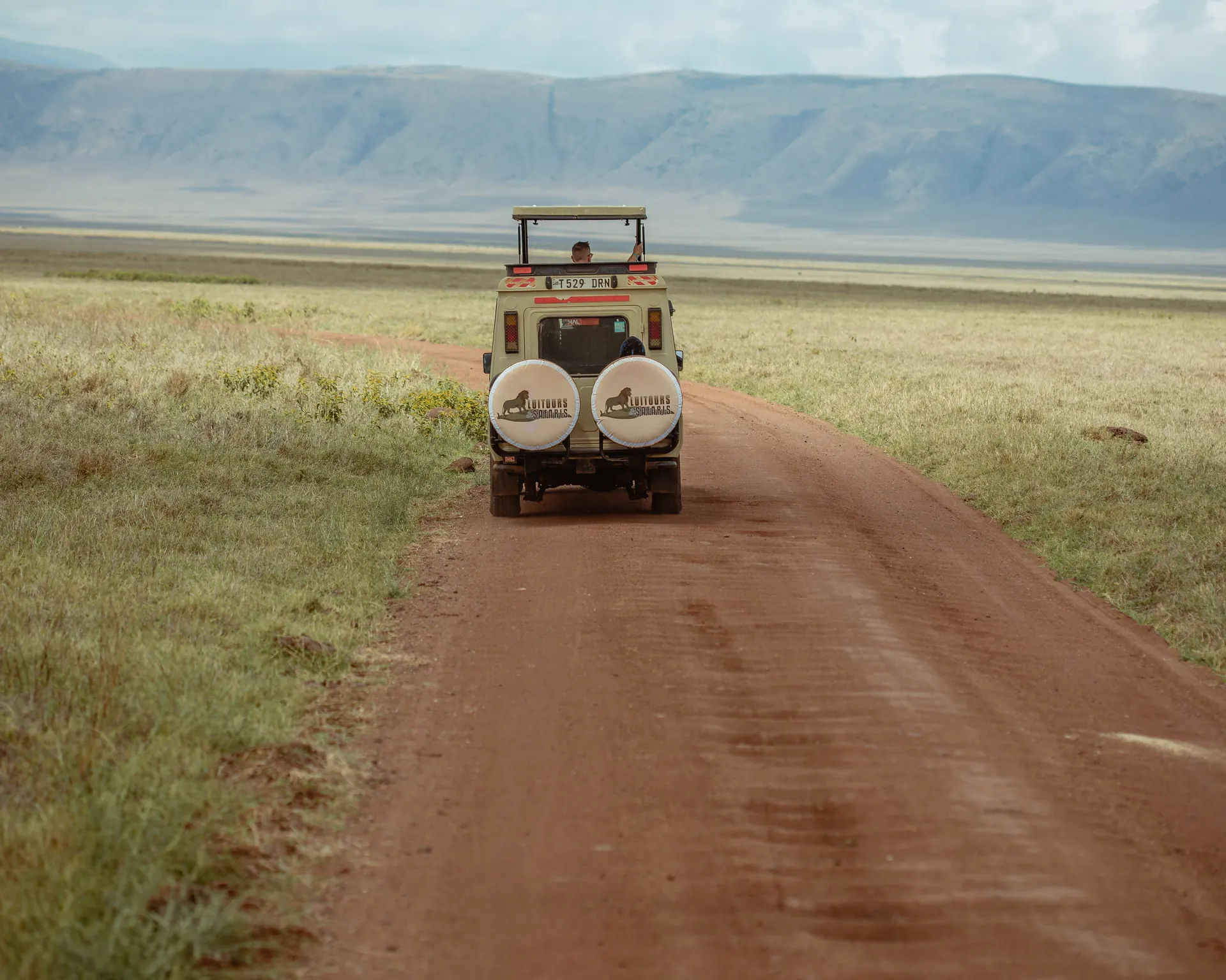 Wildlife in an East African safari landscape